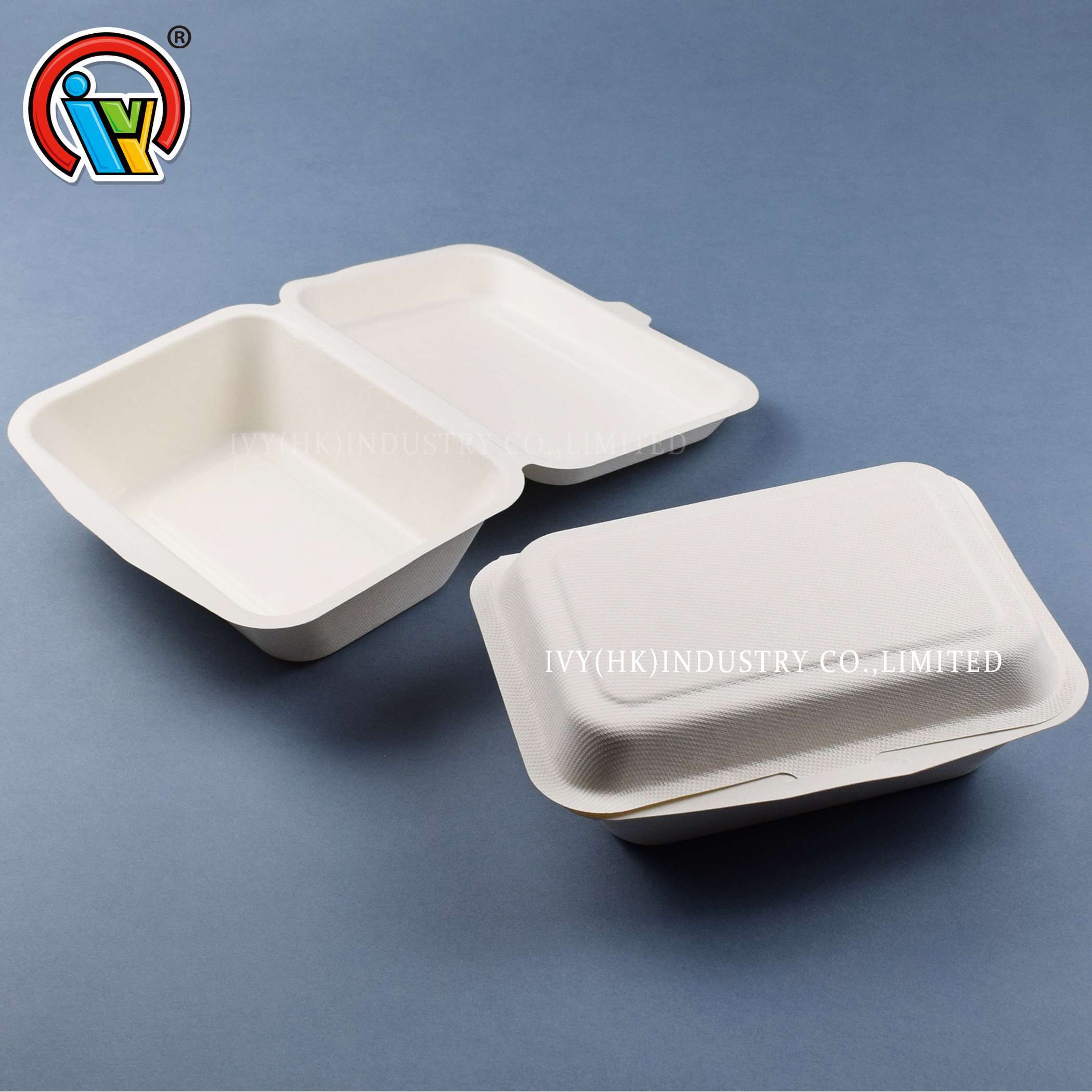 Fabricante da china lancheira de polpa de bagaço biodegradável
