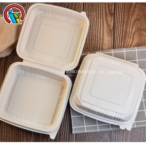 lancheira descartável biodegradável
