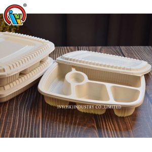 lancheira de salada biodegradável descartável
