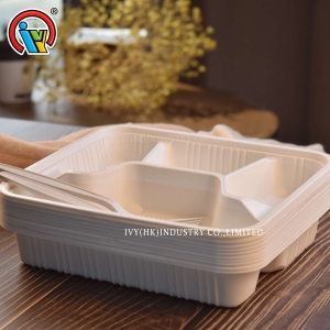 lancheira biodegradável de quatro compartimentos
