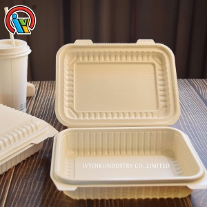 lancheira coberta de compartimento único biodegradável

