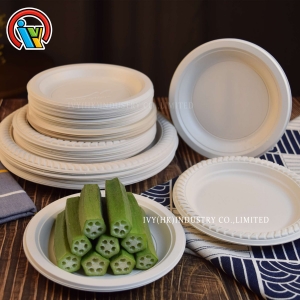 pratos descartáveis biodegradáveis
