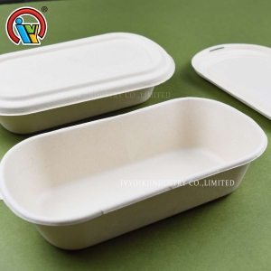 Caixa de almoço biodegradável ecológica