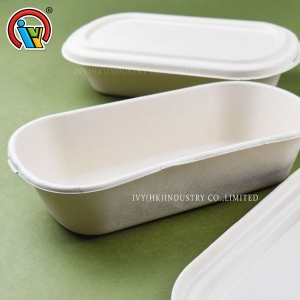 Caixa de almoço biodegradável ecológica