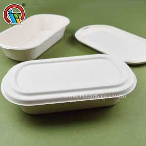Caixa de almoço biodegradável ecológica