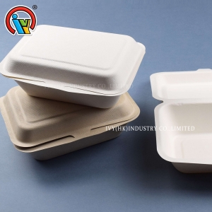 Lancheira de polpa de bagaço biodegradável

