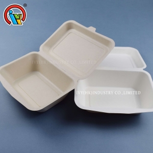 Lancheira de polpa de bagaço biodegradável
