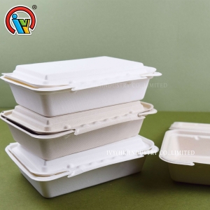 Caixa de almoço descartável biodegradável
