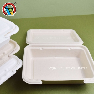 Caixa de almoço descartável biodegradável
